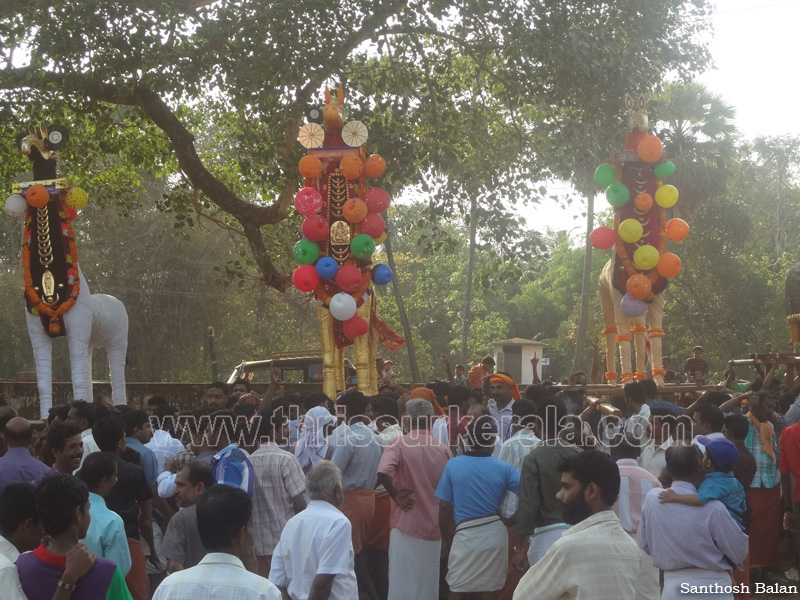 mangad-pooram-2012 (38)